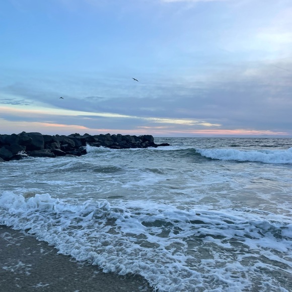 Meet your Posher, Cecilia - Picture 1 of 1